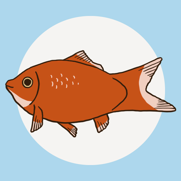 田中
